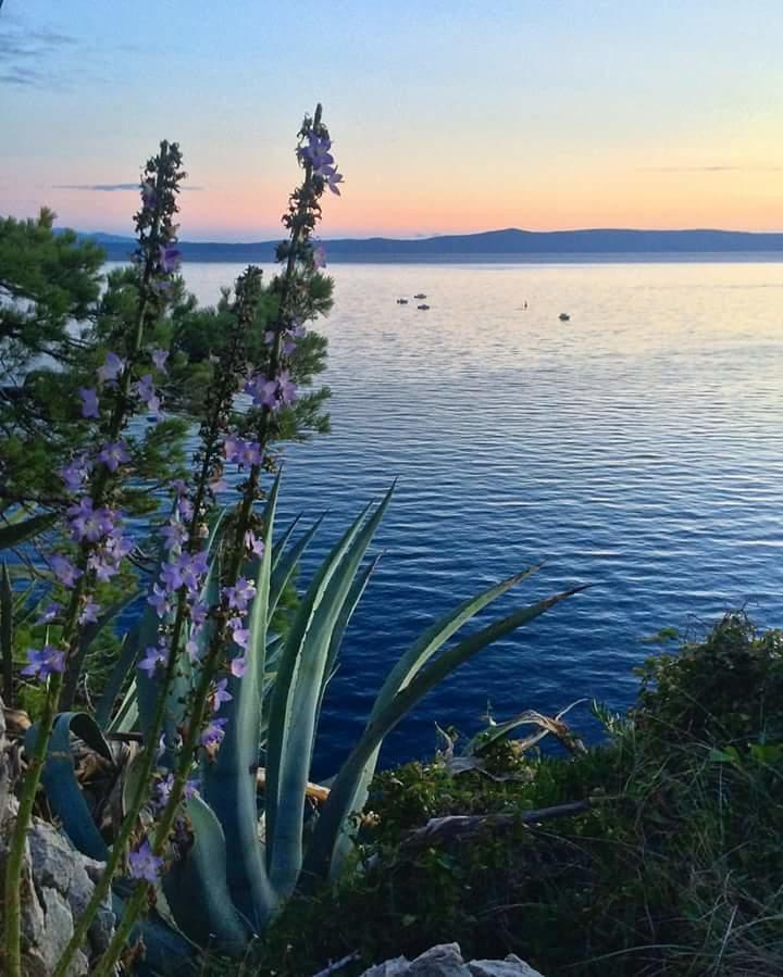 Sea View Ela Apartments Podgora Buitenkant foto